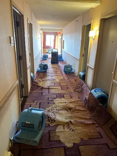 Air movers drying a carpeted building corridor after a water loss in Queens